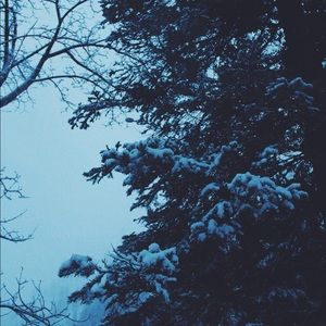 Meet your Posher, Ingrid